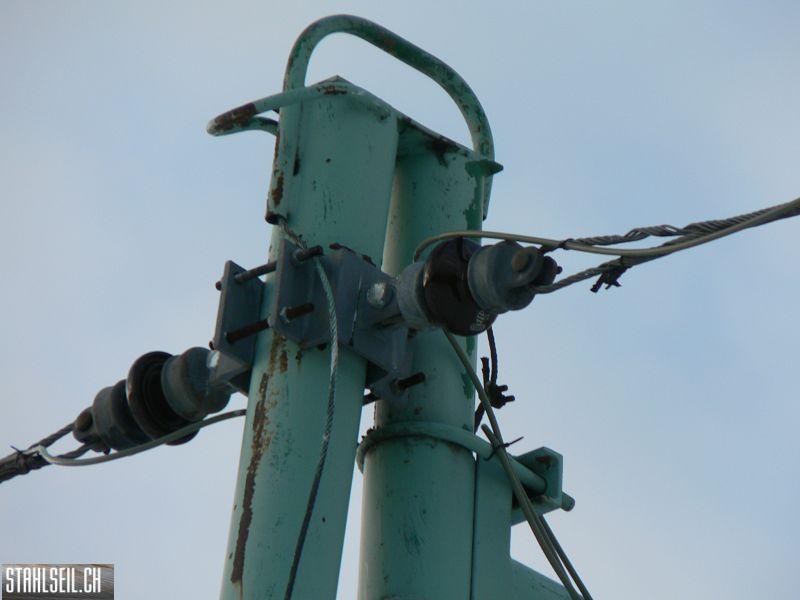 k-P1540065.JPG