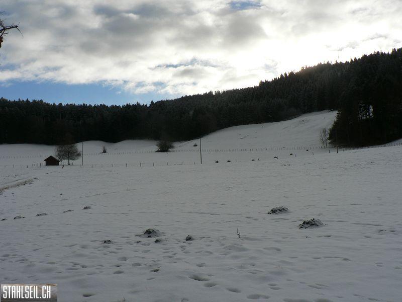 k-P1540145.JPG