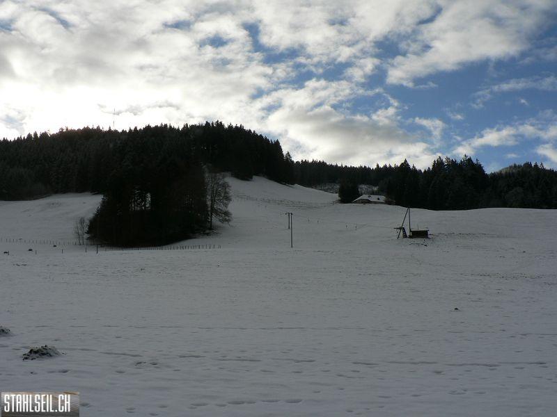 k-P1540146.JPG