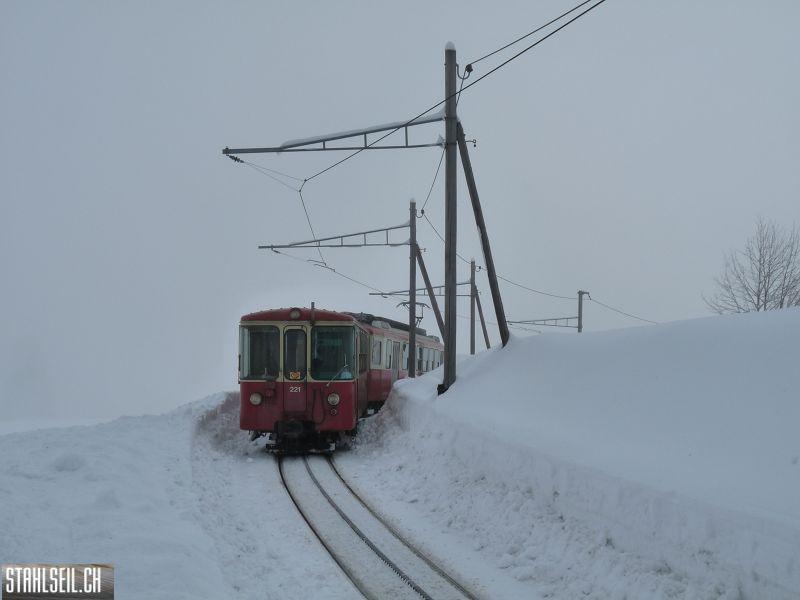 k-P1030967.JPG