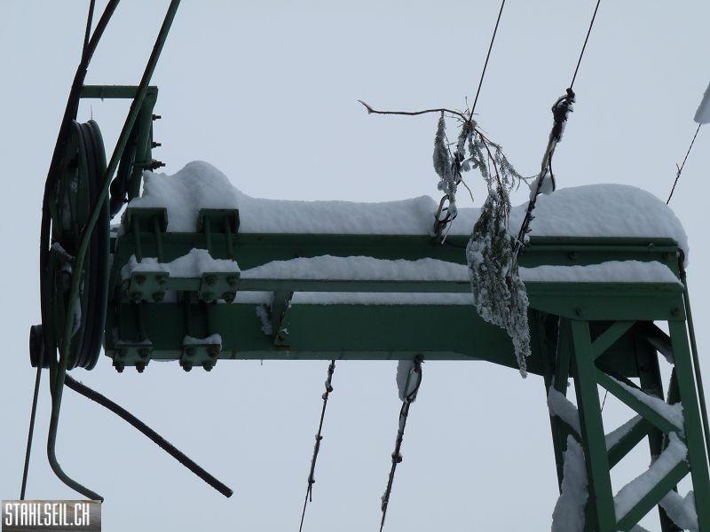 k-P1030998.JPG