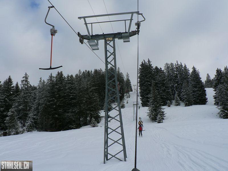 k-P1540255.JPG