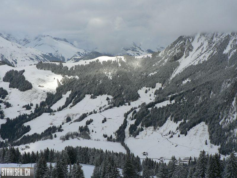 k-P1540308.JPG