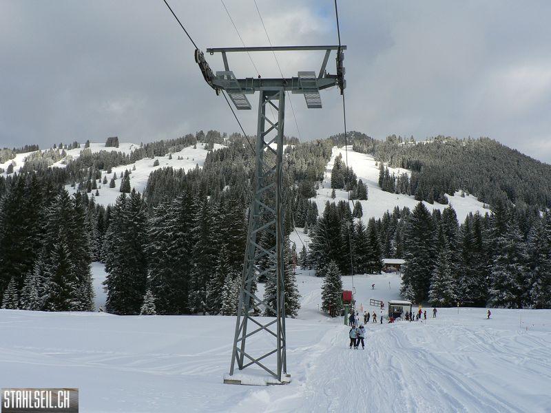 k-P1540378.JPG