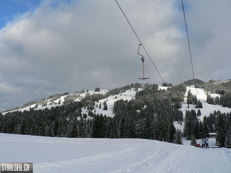 k-P1540379.JPG