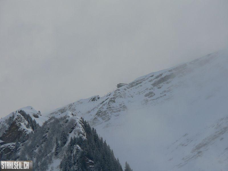 k-P1540381.JPG
