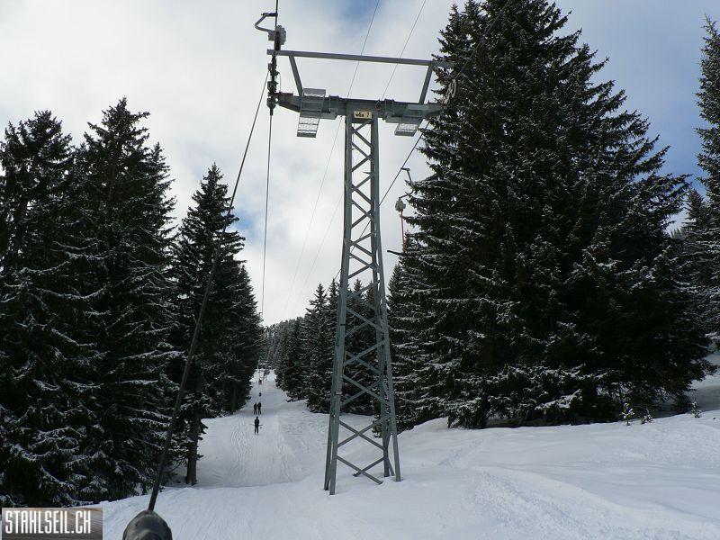 k-P1540388.JPG