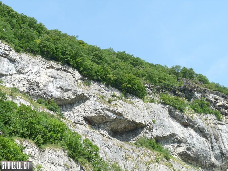 k-P1400703.JPG