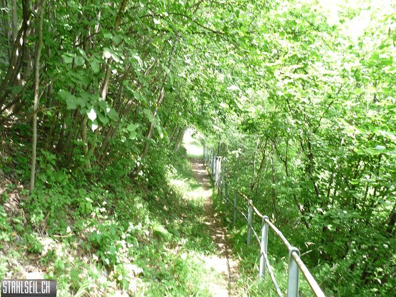 k-P1400862.JPG
