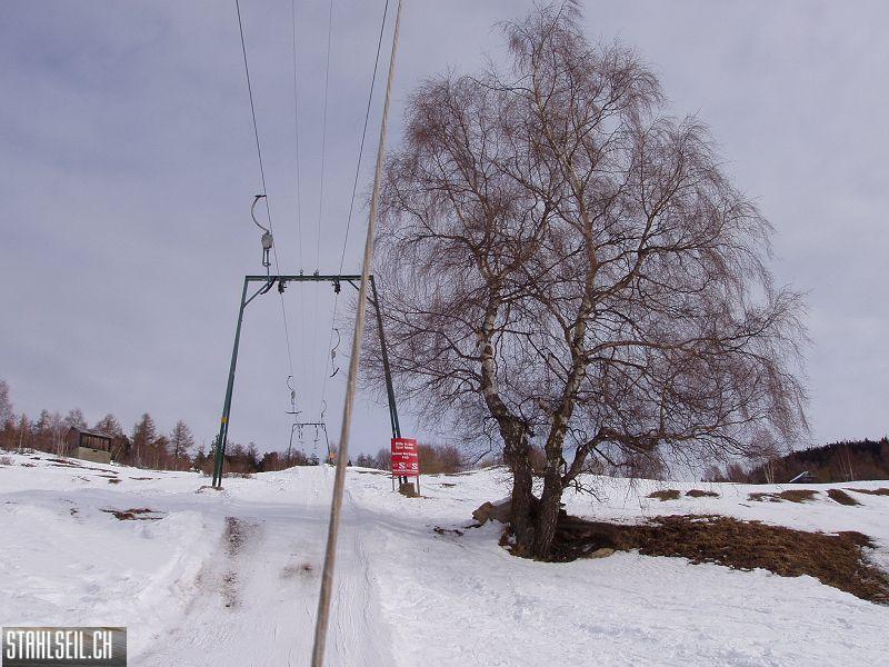k-P2100291.JPG