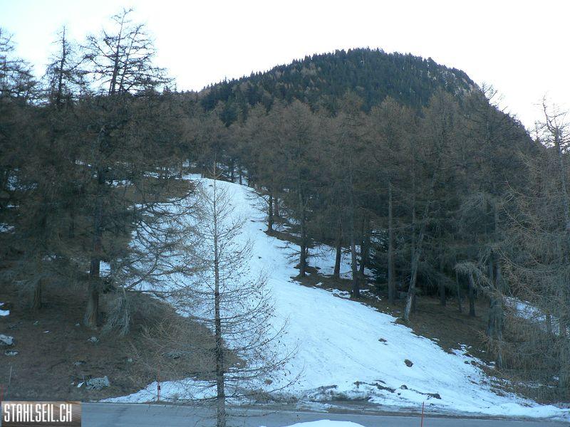k-P1630398.JPG