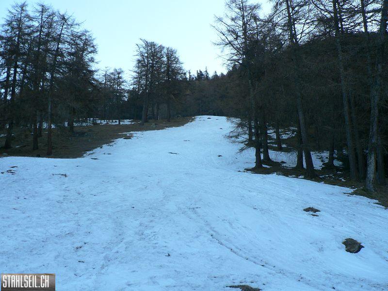 k-P1630403.JPG