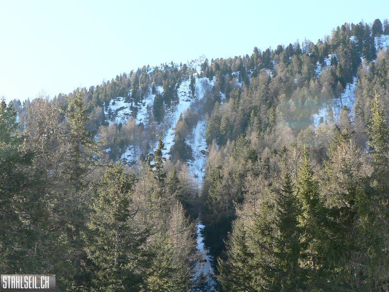 k-P1620335.JPG