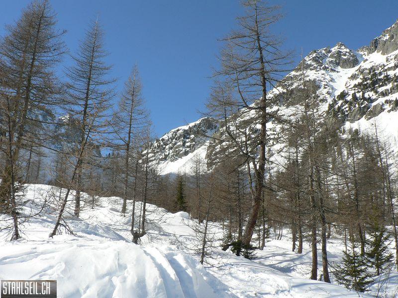 k-P1620571.JPG