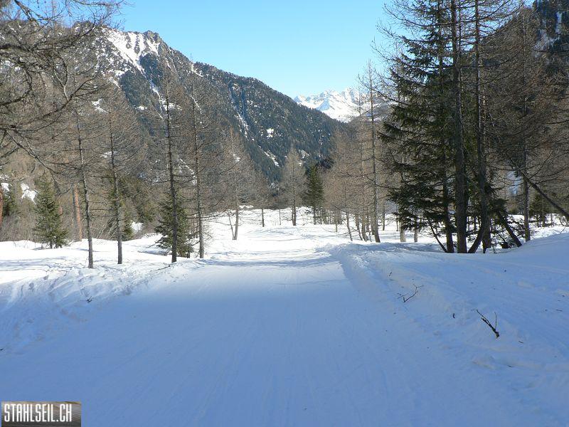 k-P1620580.JPG