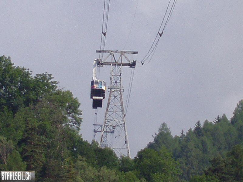 k-P7260243.JPG