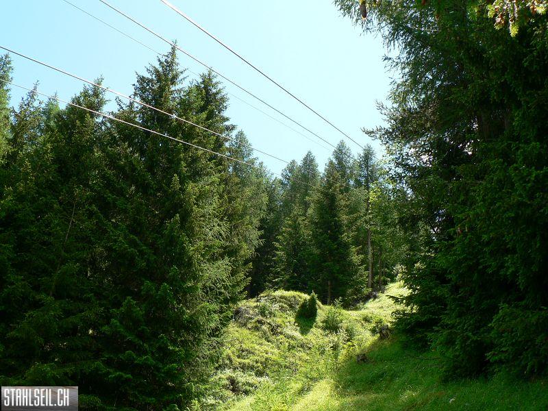 k-P1350001.JPG