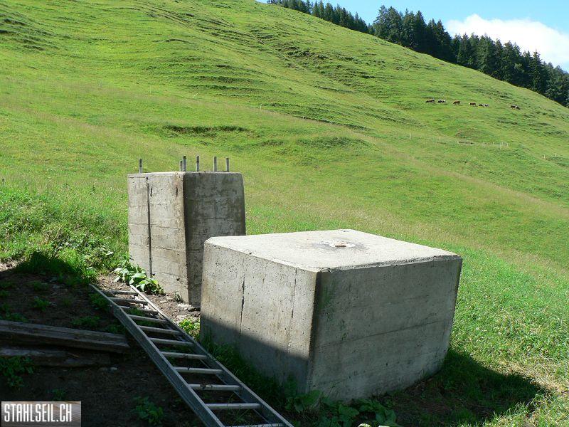 k-P1340909.JPG