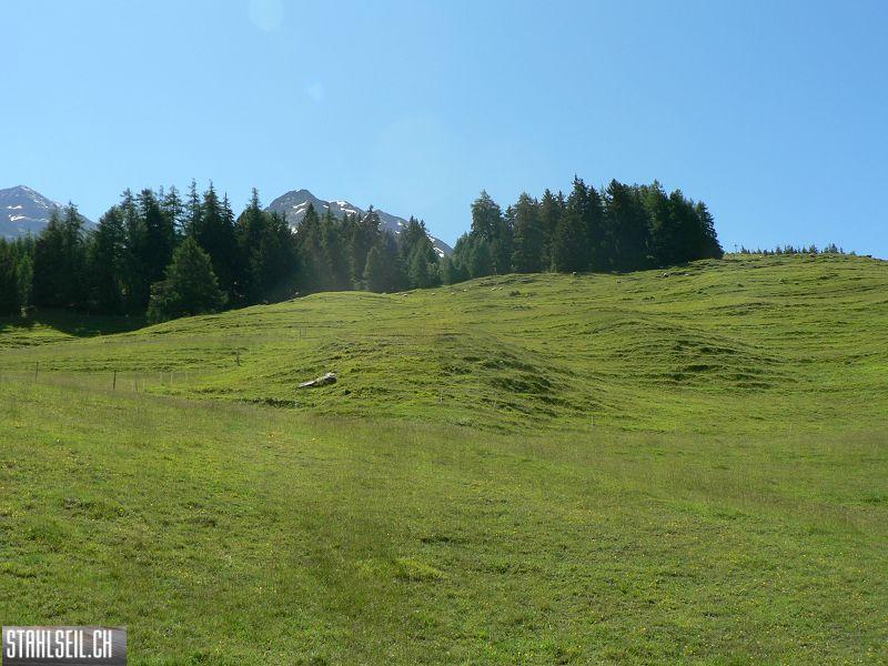 k-P1340916.JPG