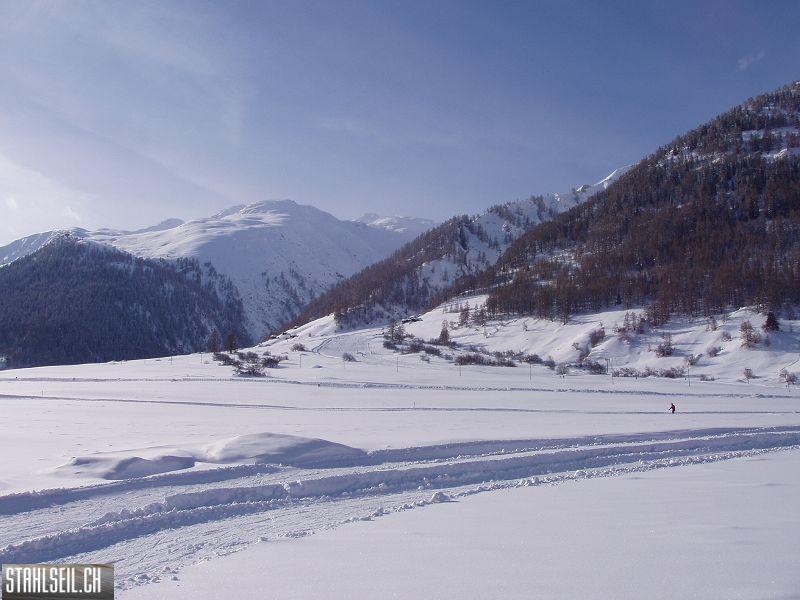 k-P3060267.JPG