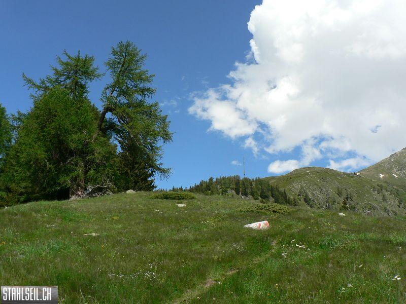k-P1350159.JPG