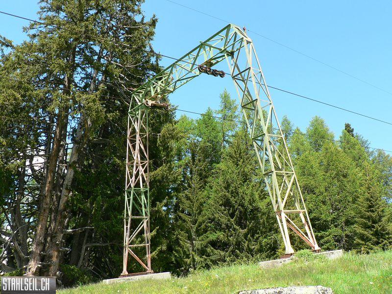 k-P1350162.JPG
