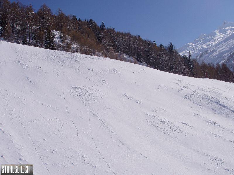 k-P2260019.JPG