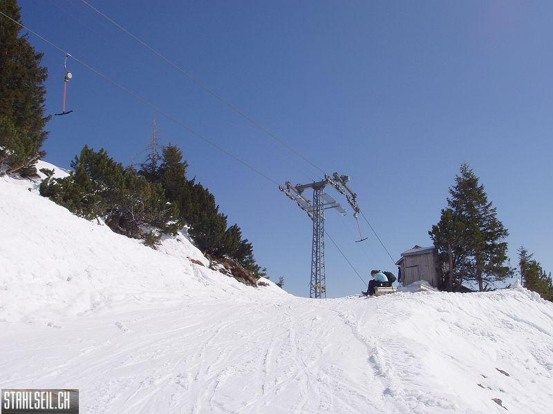 k-P3200383.JPG