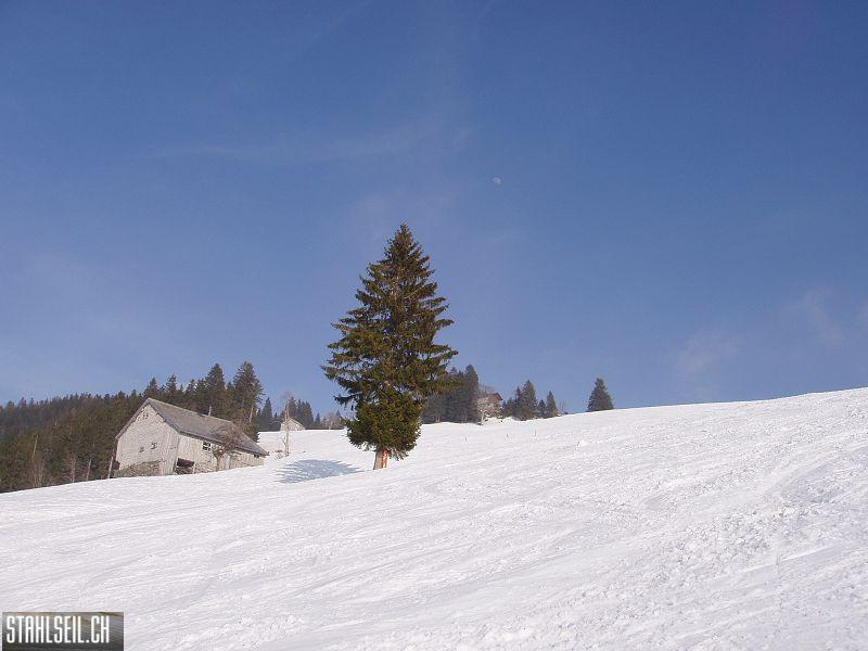 k-P3200549.JPG