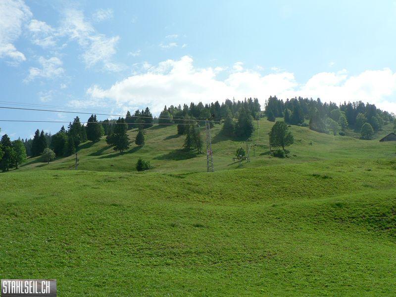 k-P1340570.JPG