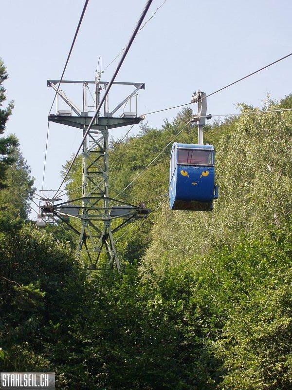 k-P7310033.JPG