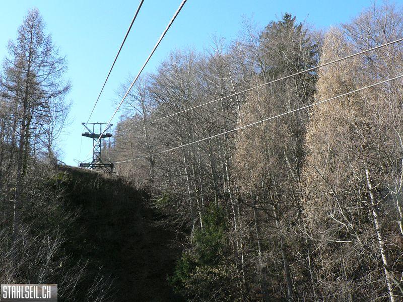 k-P1260897.JPG