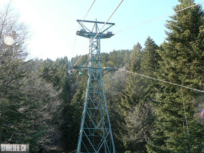 k-P1270113.JPG