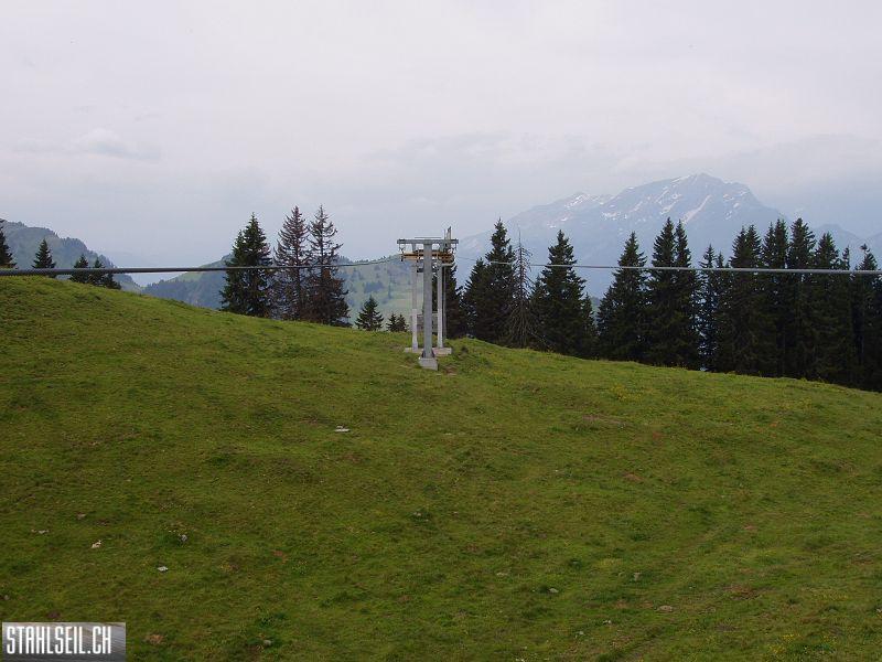 k-P7200072.JPG
