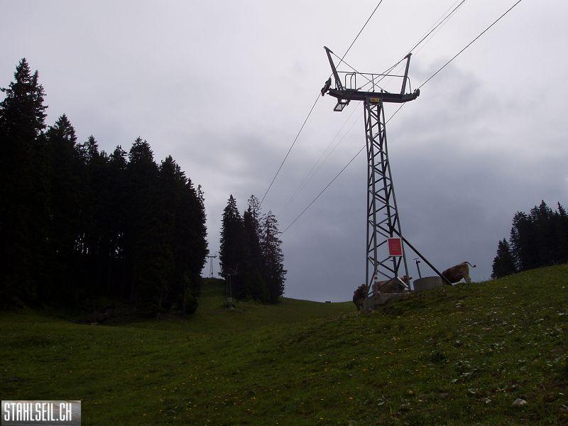 k-P7200121.JPG