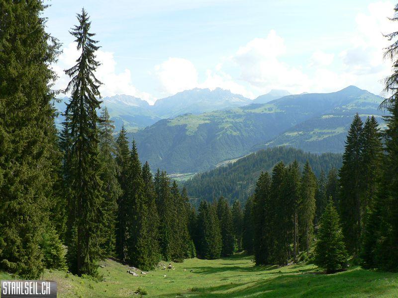 k-P1340625.JPG