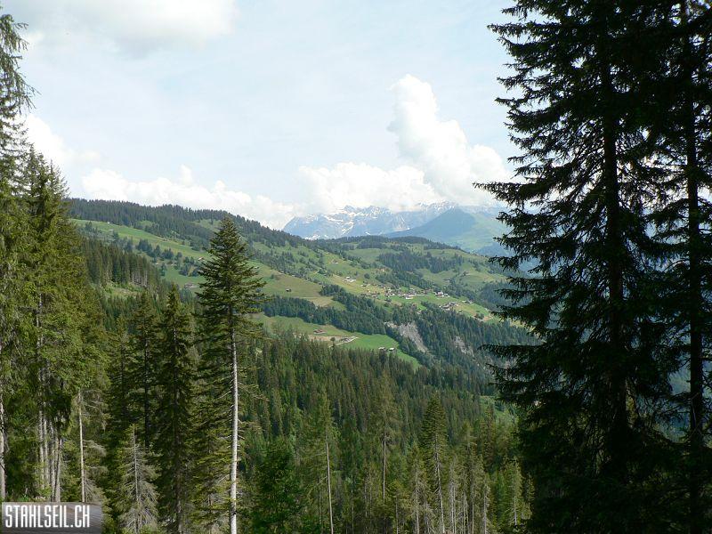 k-P1340628.JPG