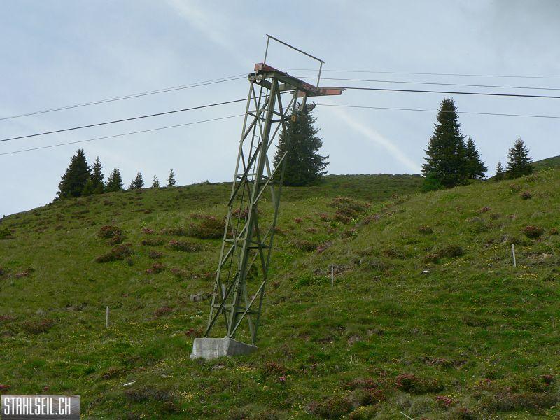k-P1340638.JPG