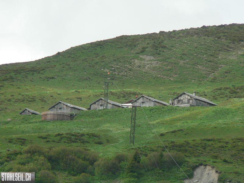 k-P1340641.JPG