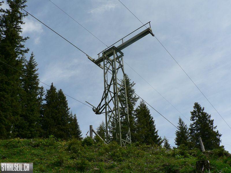 k-P1340644.JPG