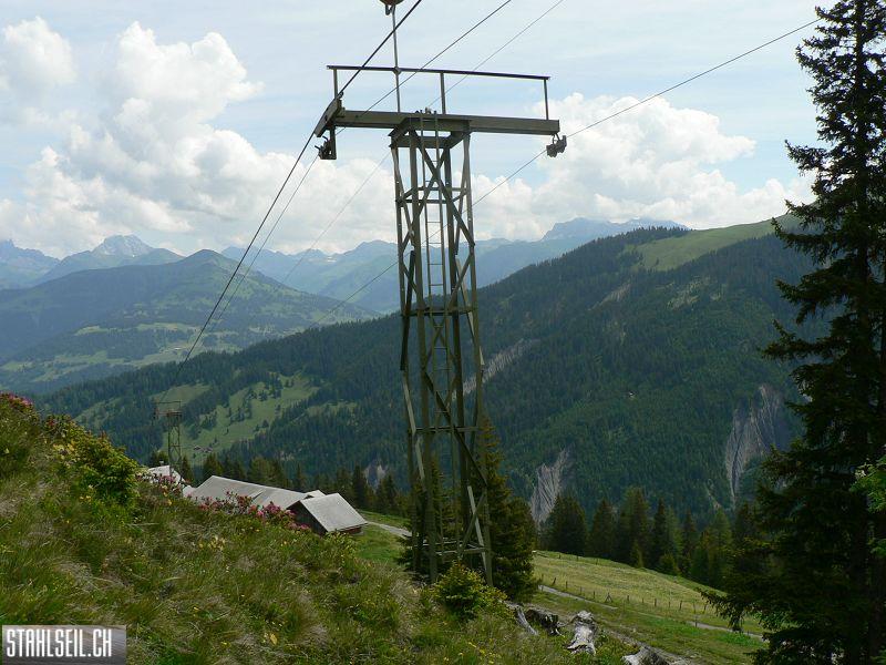 k-P1340654.JPG