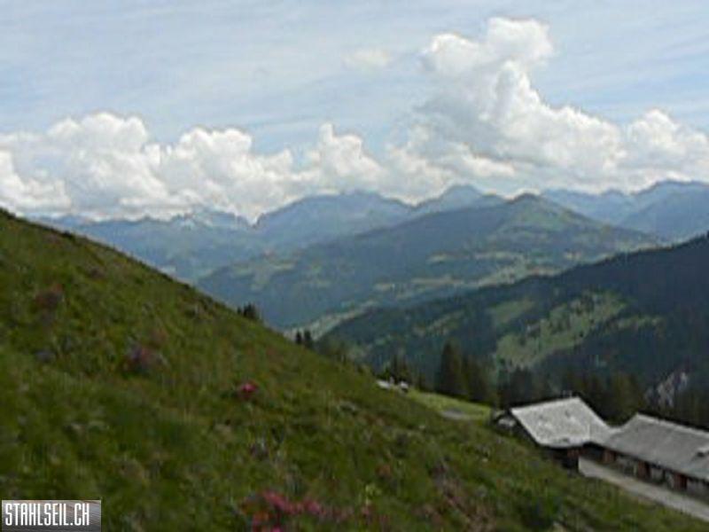 k-P1340663.JPG
