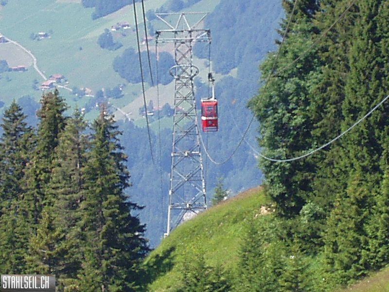 k-P7290031.JPG