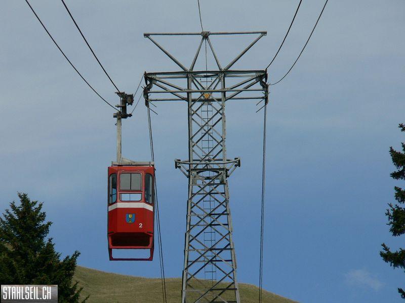 k-P1110950.JPG