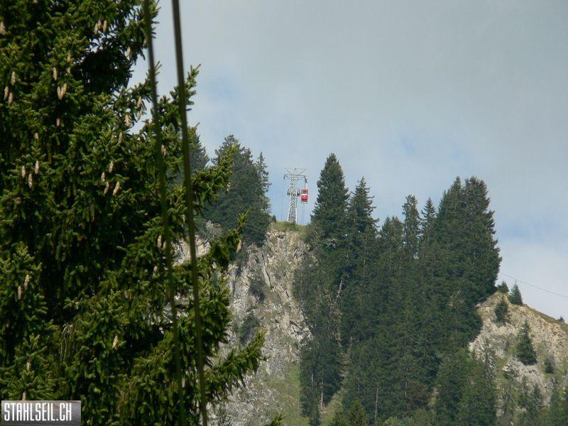 k-P1120014.JPG
