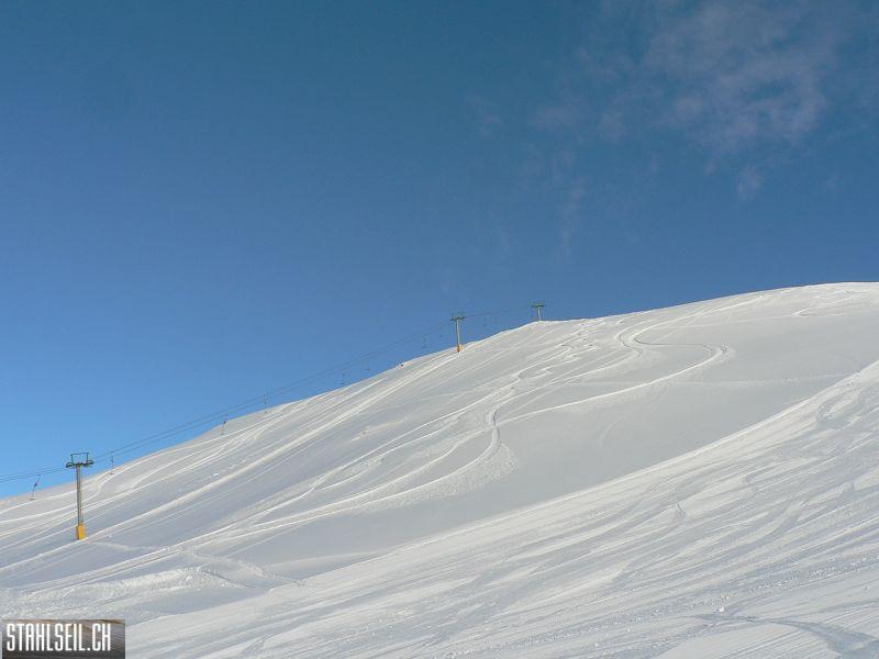 k-P1490026.JPG
