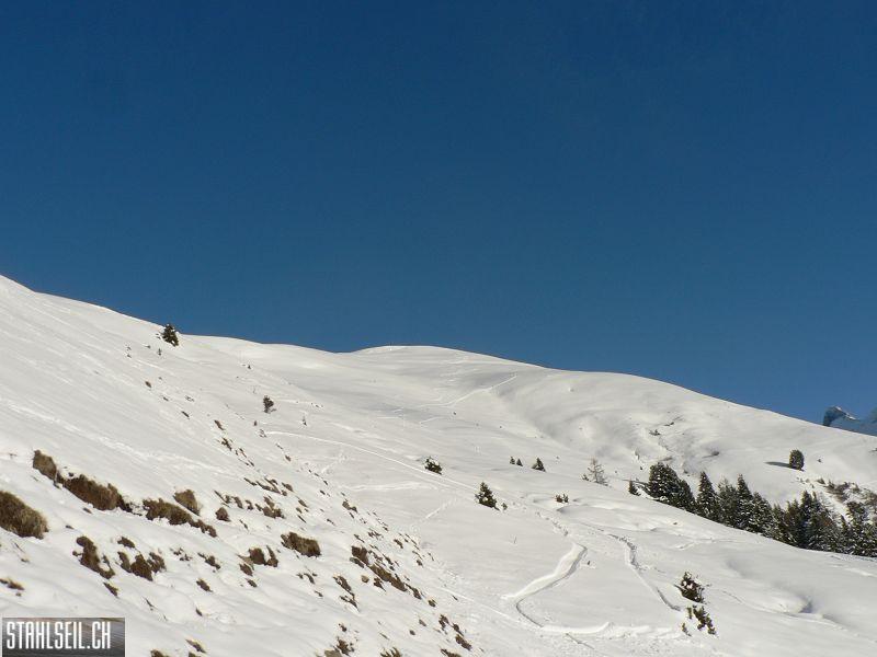 k-P1490083.JPG
