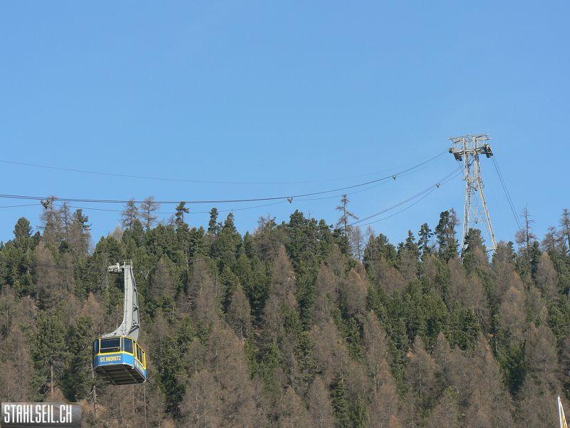k-P1310467.JPG