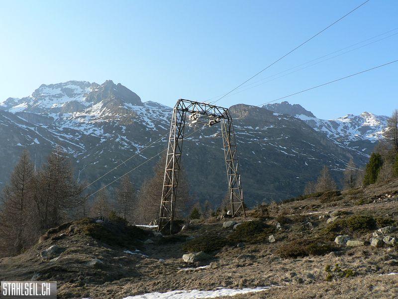 k-P1320318.JPG
