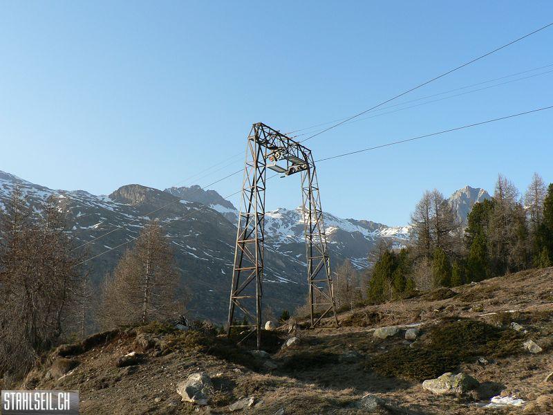 k-P1320320.JPG